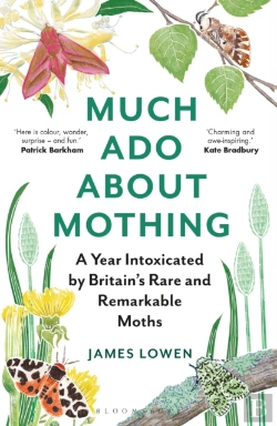 Bertrand.pt - Much Ado About Mothing