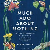 Much Ado About Mothing