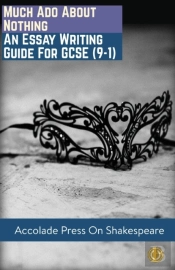 Much Ado About Nothing: Essay Writing Gu