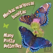 Muchas Mariposas Bonitas