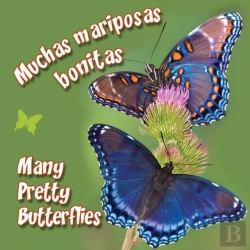 Bertrand.pt - Muchas Mariposas Bonitas