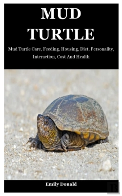 Bertrand.pt - Mud Turtle