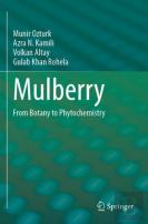 Mulberry