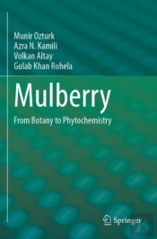 Mulberry