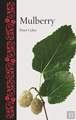 Bertrand.pt - Mulberry
