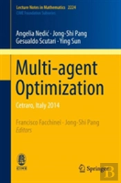 Multi-Agent Optimization