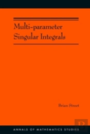 Multi-Parameter Singular Integrals, Volume I