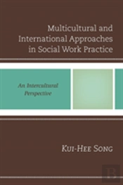 Multicultural And International Approaches In Social Work Practice
