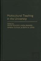 Multicultural Teaching In The University
