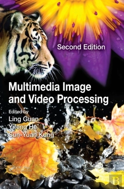 Bertrand.pt - Multimedia Image And Video Processing