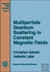 Multiparticle Quantum Scattering In Constant Magnetic Fields