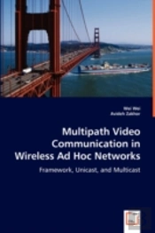 Multipath Video Communication In Wireless Ad Hoc Networks