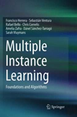 Bertrand.pt - Multiple Instance Learning