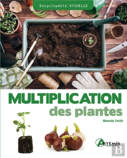 Bertrand.pt - Multiplication Des Plantes