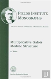 Multiplicative Galois Module Structure