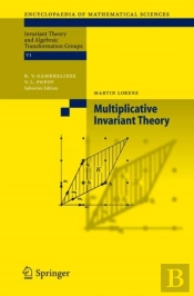 Multiplicative Invariant Theory