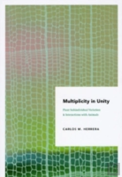 Bertrand.pt - Multiplicity In Unity