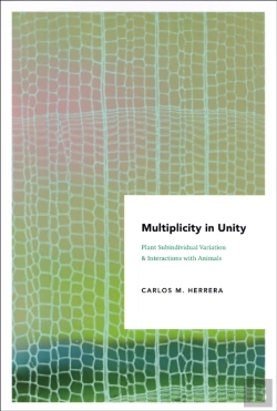 Bertrand.pt - Multiplicity In Unity
