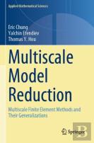 Multiscale Model Reduction