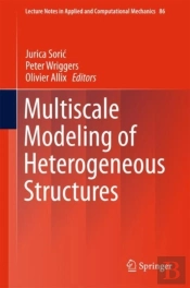 Multiscale Modeling Of Heterogeneous Structures
