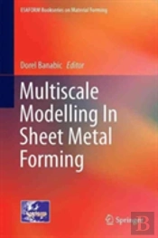 Multiscale Modelling In Sheet Metal Forming