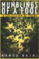 Mumblings Of A Fool