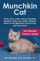 Munchkin Cat