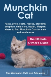 Munchkin Cat