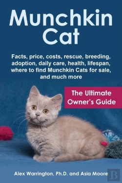 Bertrand.pt - Munchkin Cat