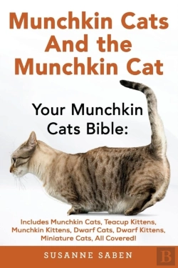 Bertrand.pt - Munchkin Cats & The Munchkin Cat
