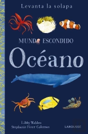 Mundo Escondido. Océano
