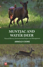 Muntjac And Water Deer