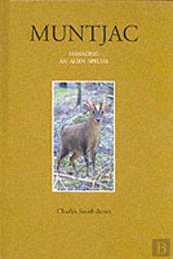 Bertrand.pt - Muntjac