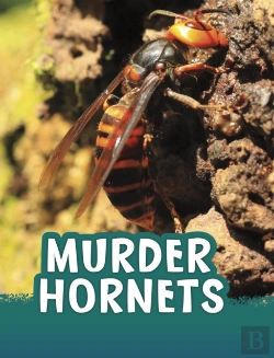 Bertrand.pt - Murder Hornets