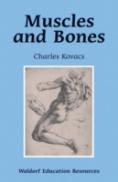 Muscles And Bones