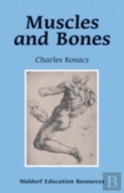 Muscles And Bones
