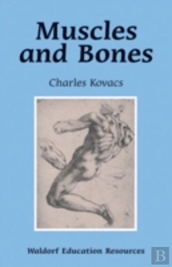 Bertrand.pt - Muscles And Bones