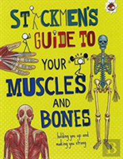 Muscles And Bones