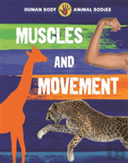 Muscles And Movement