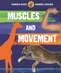 Bertrand.pt - Muscles And Movement