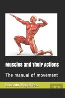Muscles And Their Actions