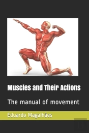 Muscles And Their Actions