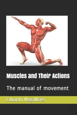 Bertrand.pt - Muscles And Their Actions