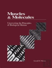 Muscles & Molecules
