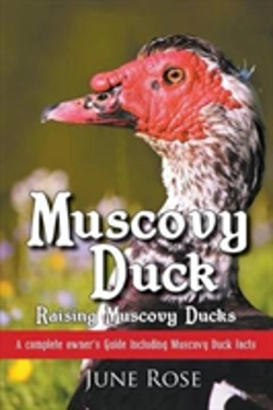 Bertrand.pt - Muscovy Duck