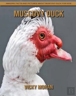 Bertrand.pt - Muscovy Duck