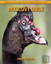 Muscovy Duck