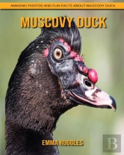 Muscovy Duck
