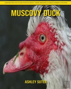 Bertrand.pt - Muscovy Duck