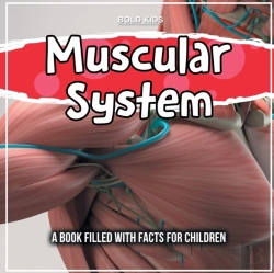 Bertrand.pt - Muscular System